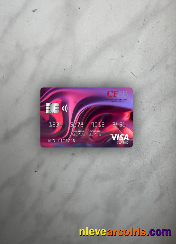 USA New York CFSB bank visa classic card photolook